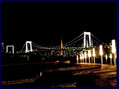 Tokyo Bay night view 13